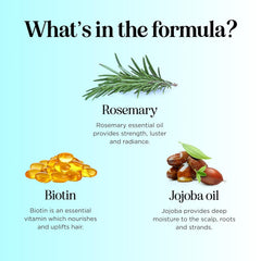 Maple Holistics Rosemary Biotin Shampoo packaging emphasizes sulfate-free, paraben-free, silicone-free color-safe care.