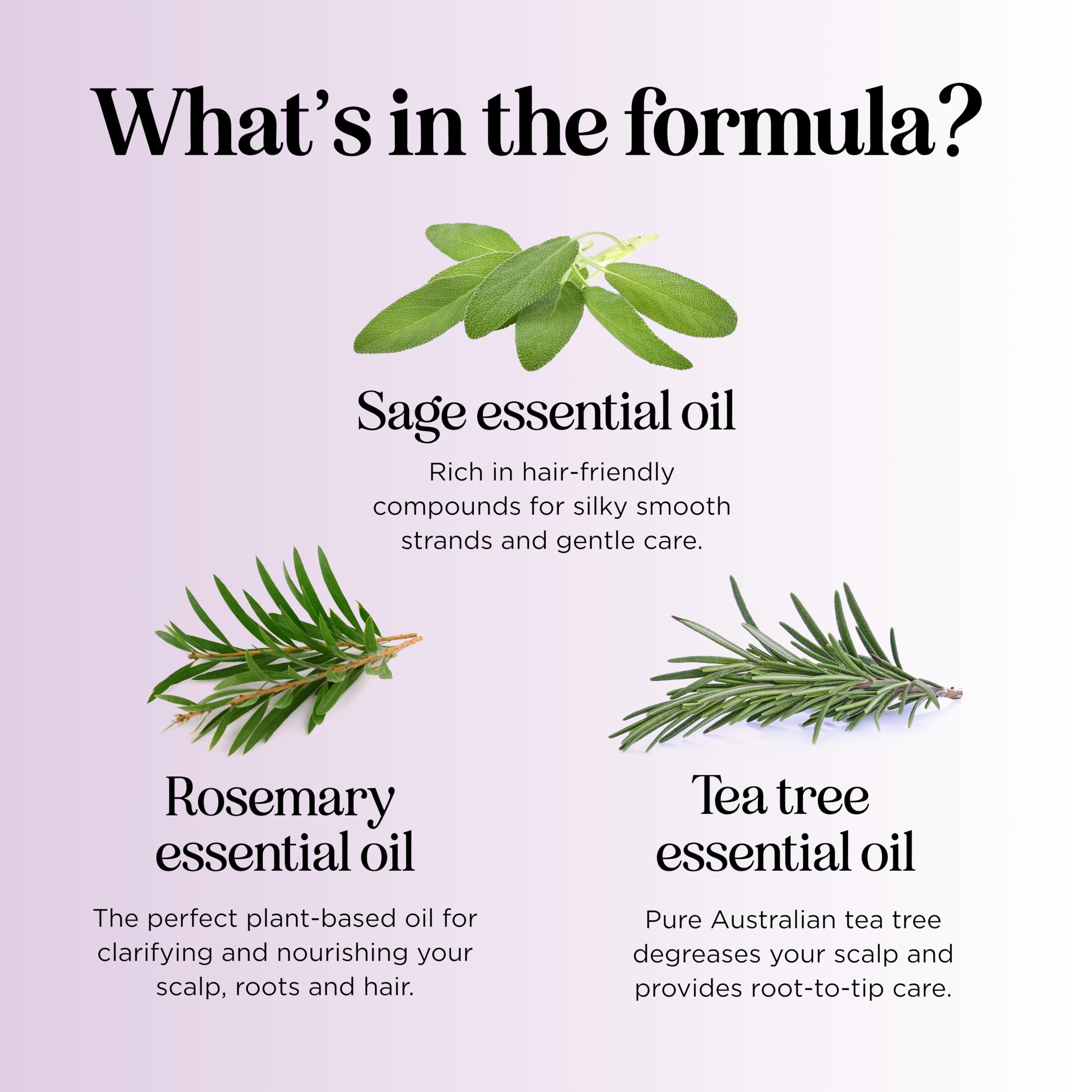 Maple Holistics Sage Rosemary Shampoo natural ingredients label signals clean cleansing.
