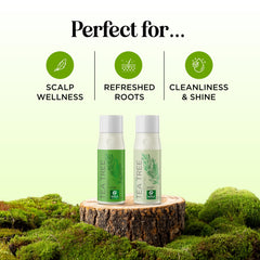 Maple Holistics Tea Tree Conditioner bottle delivering lightweight moisture for scalp comfort.