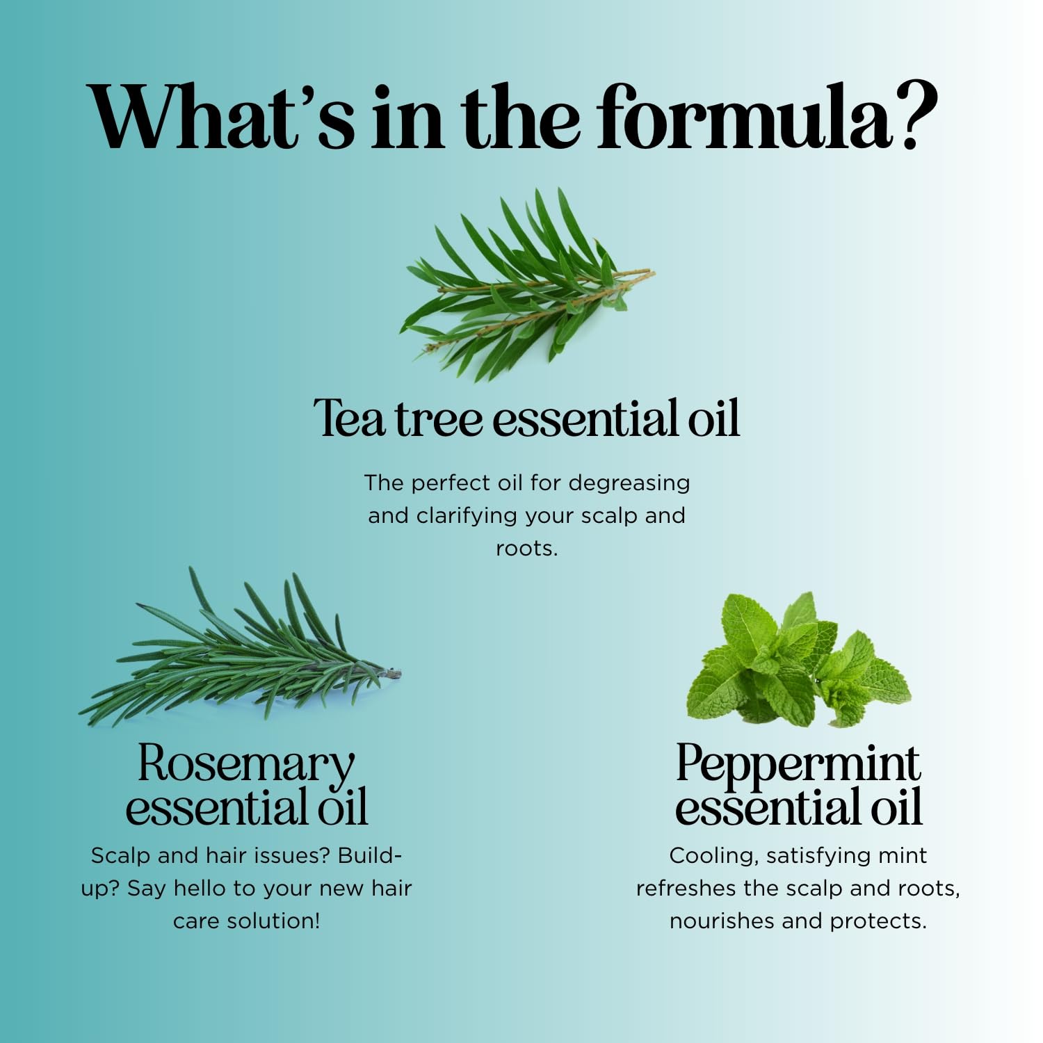 Maple Holistics tea tree oil drops illustrating essential oil benefits in scalp care