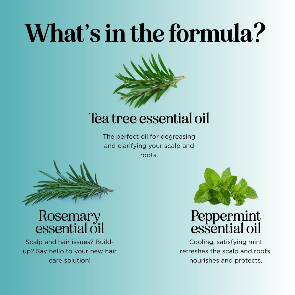 Maple Holistics tea tree oil drops illustrating essential oil benefits in scalp care