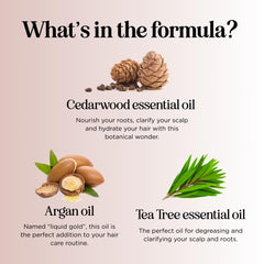 Maple Holistics tea tree oil hair care bottle promotes refreshed, balanced scalp.