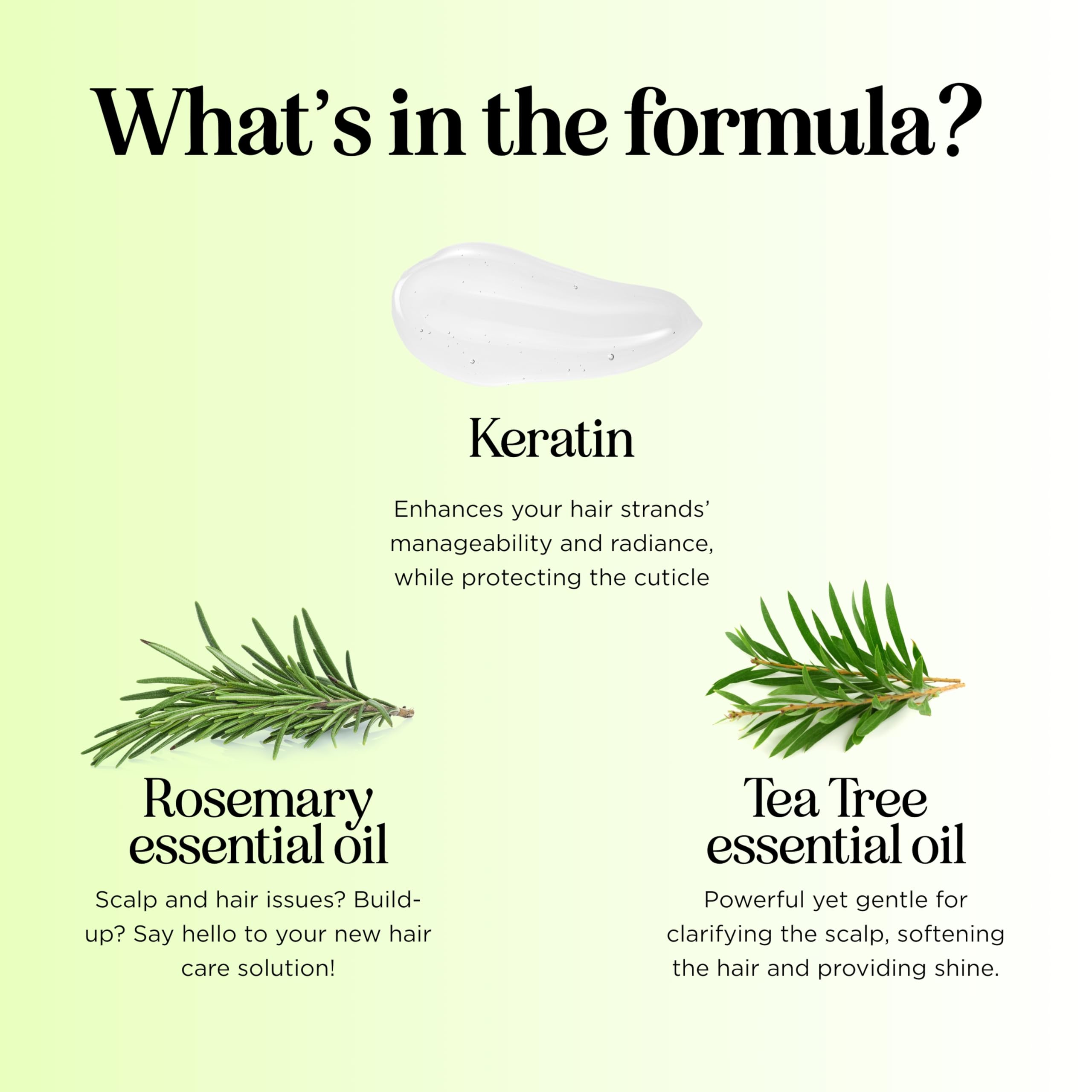 Maple Holistics Tea Tree product label highlighting vegan, sulfate-free formula.