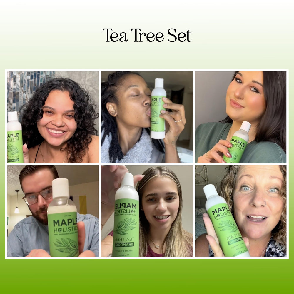 Maple Holistics Tea Tree Shampoo and Conditioner set on shelf