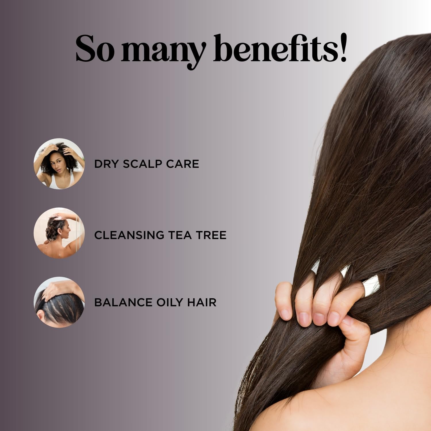 Maple Holistics Tea Tree Shampoo label close-up highlighting natural oils benefits