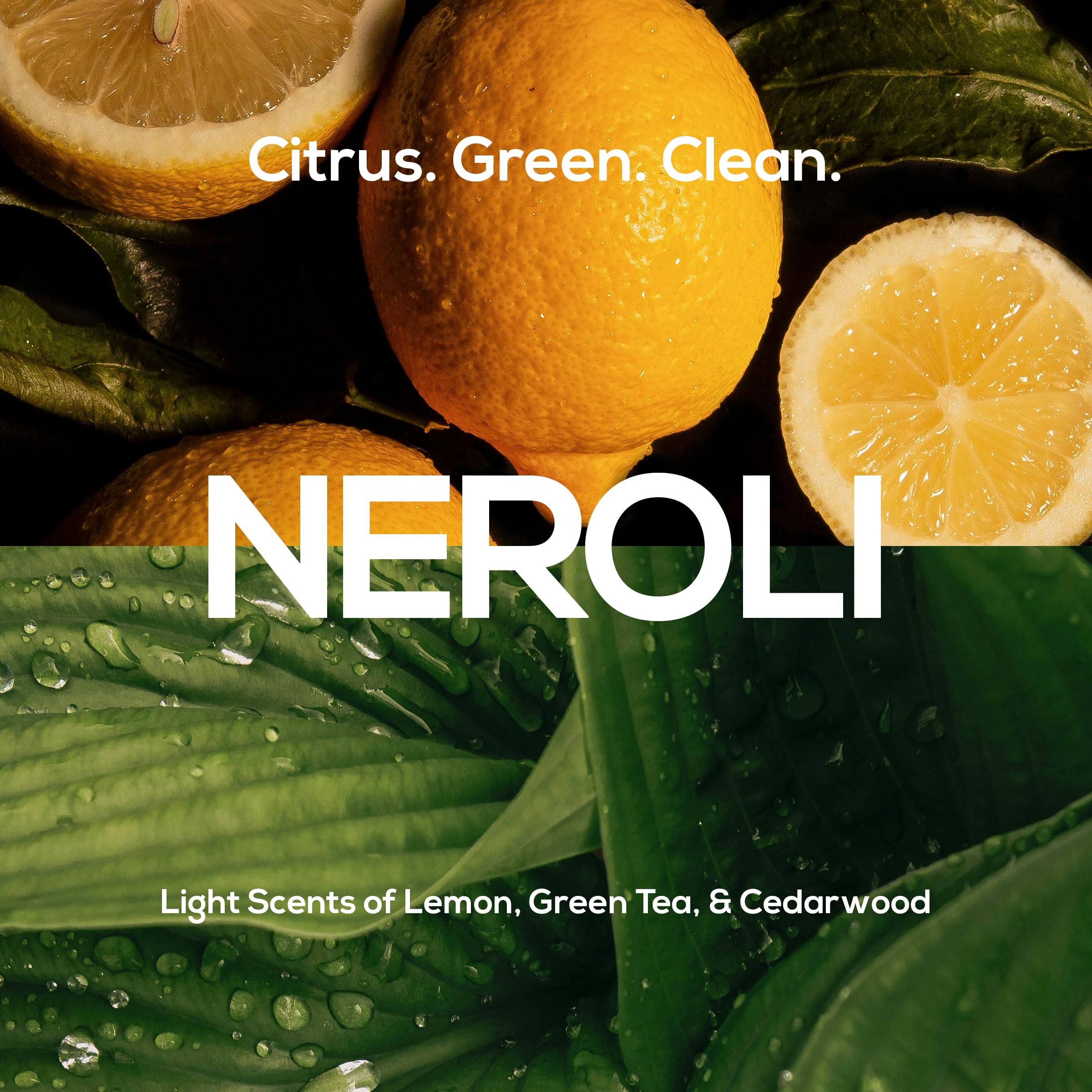 MARLOWE No. 108 neroli scent profile with citrus and green tea notes.
