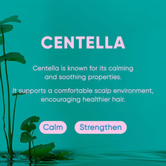 Mars Made Centella shampoo bar foamy-lather close-up suggests rich hydration and refreshing cleansing.