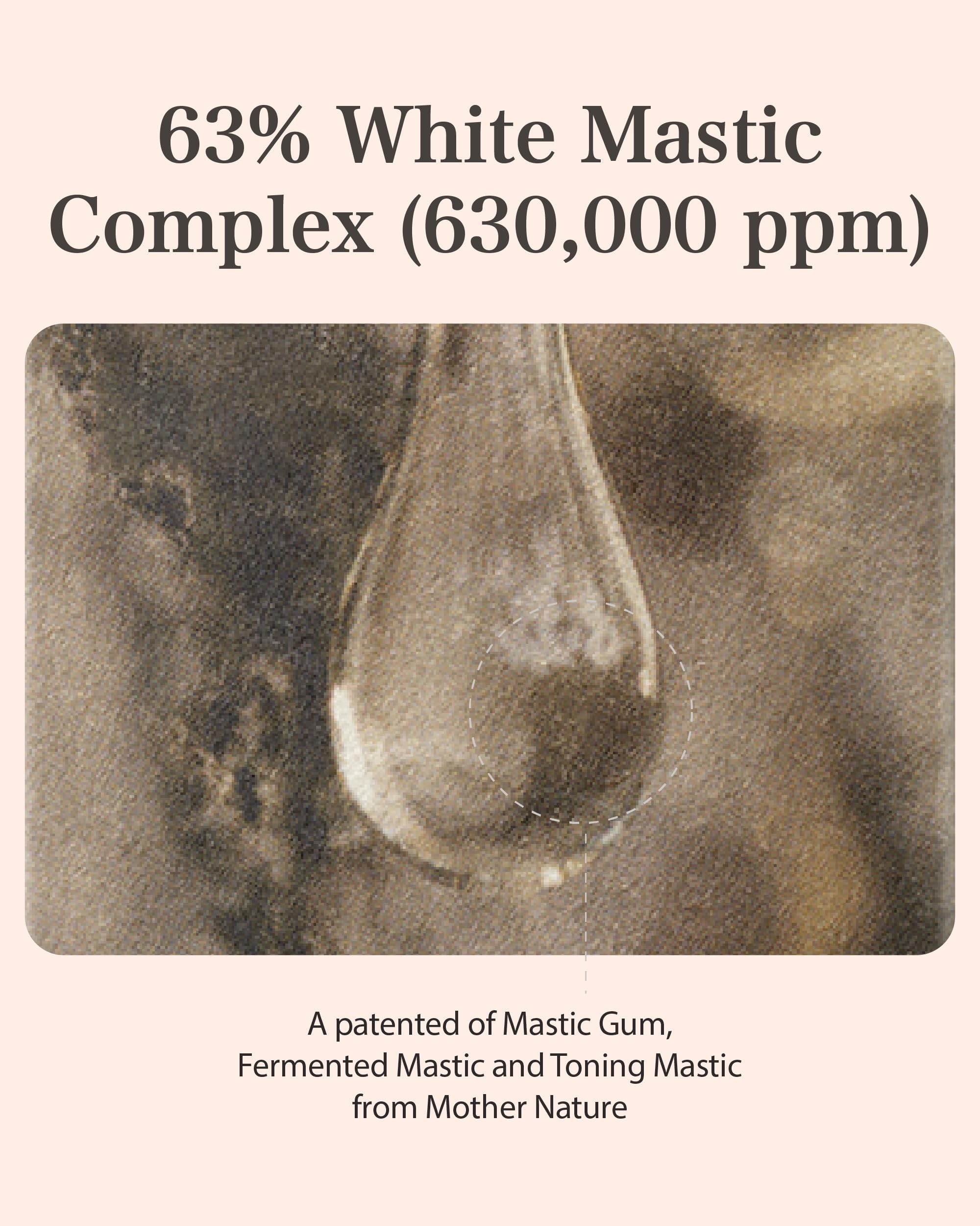 Mastina Fermented Mastic infusion offers gentler absorption and nourishing feel.