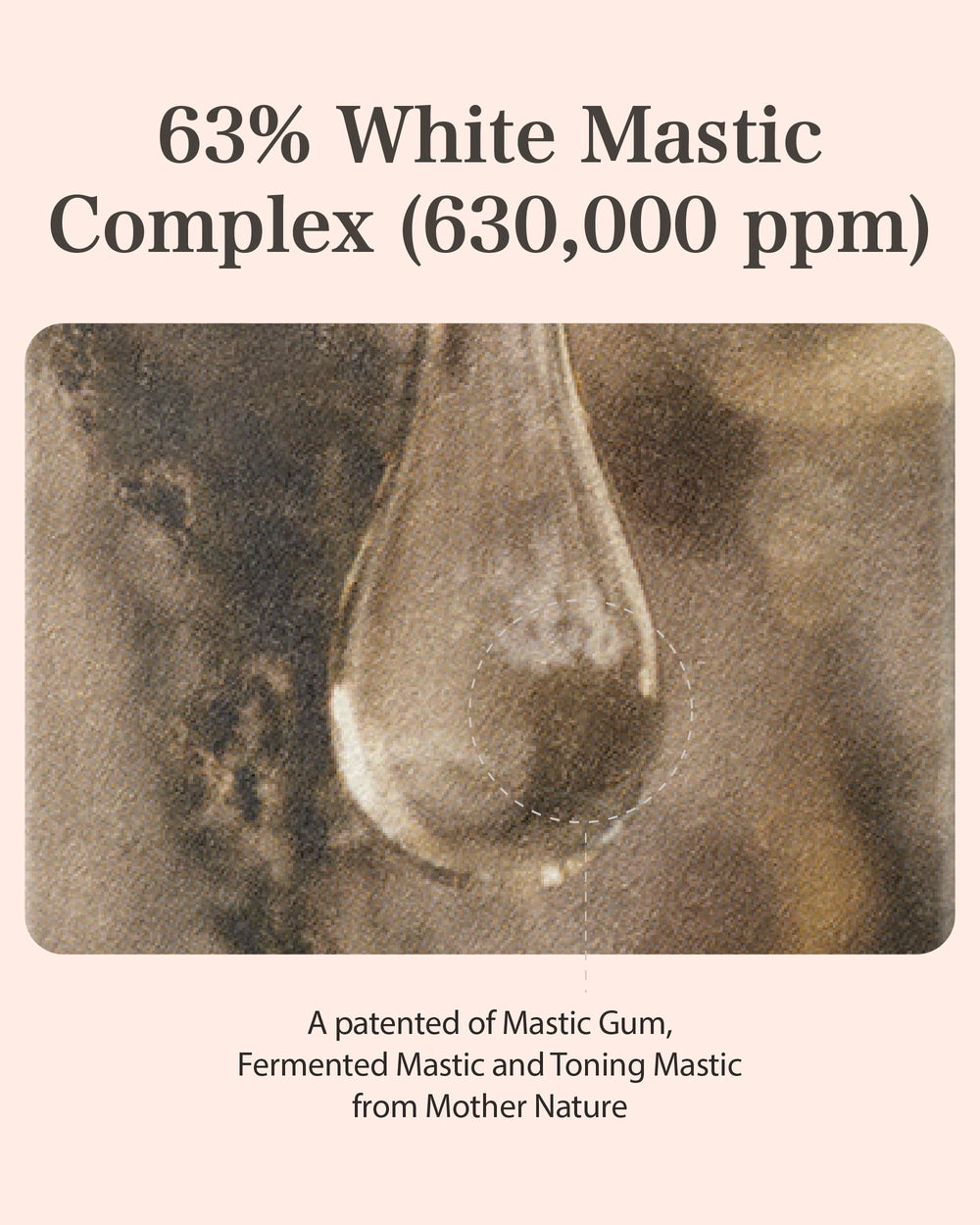 Mastina Fermented Mastic infusion offers gentler absorption and nourishing feel.
