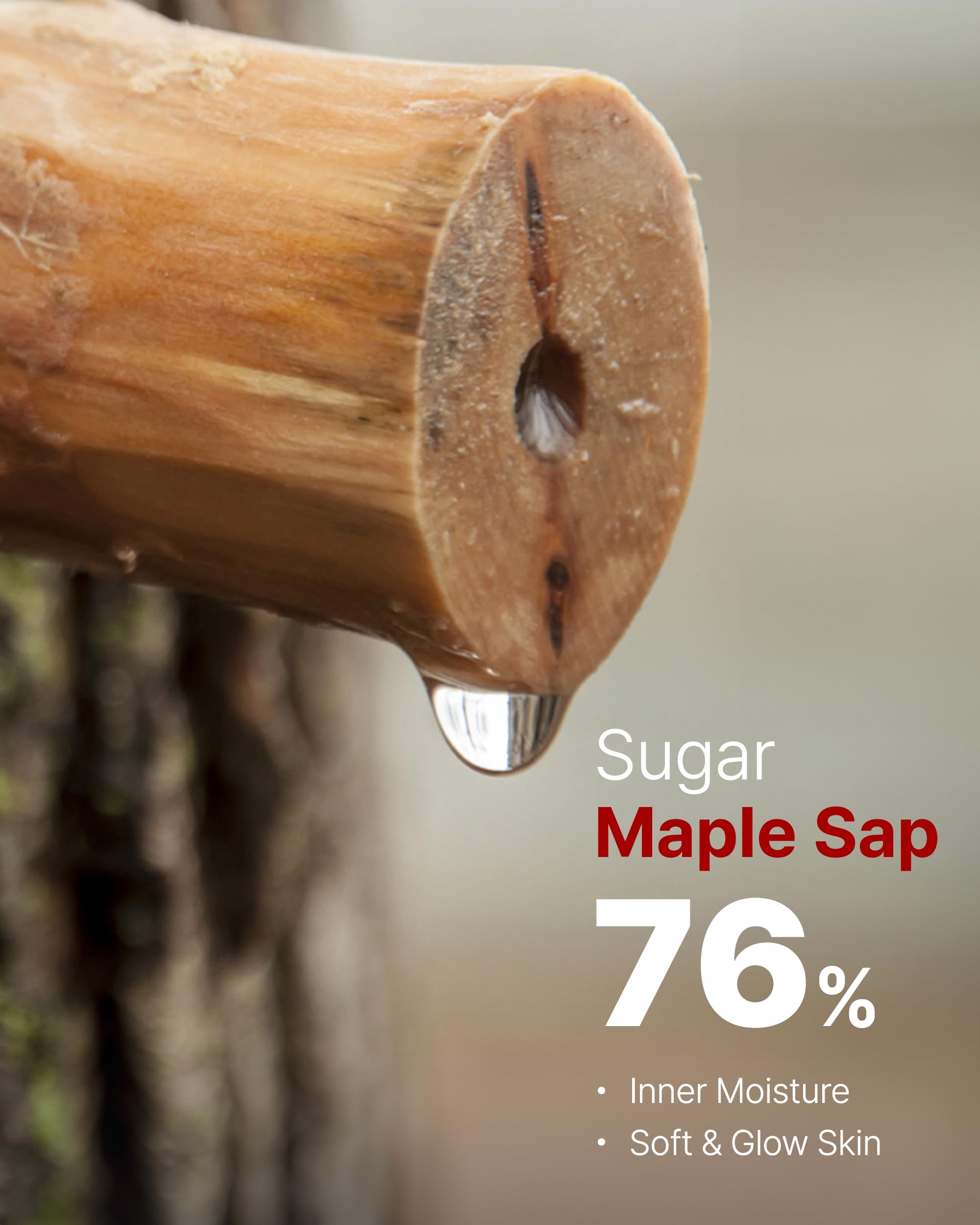 MAY COOP Moisture Essence Toner maple sap ingredients emphasize deep, lasting moisture.