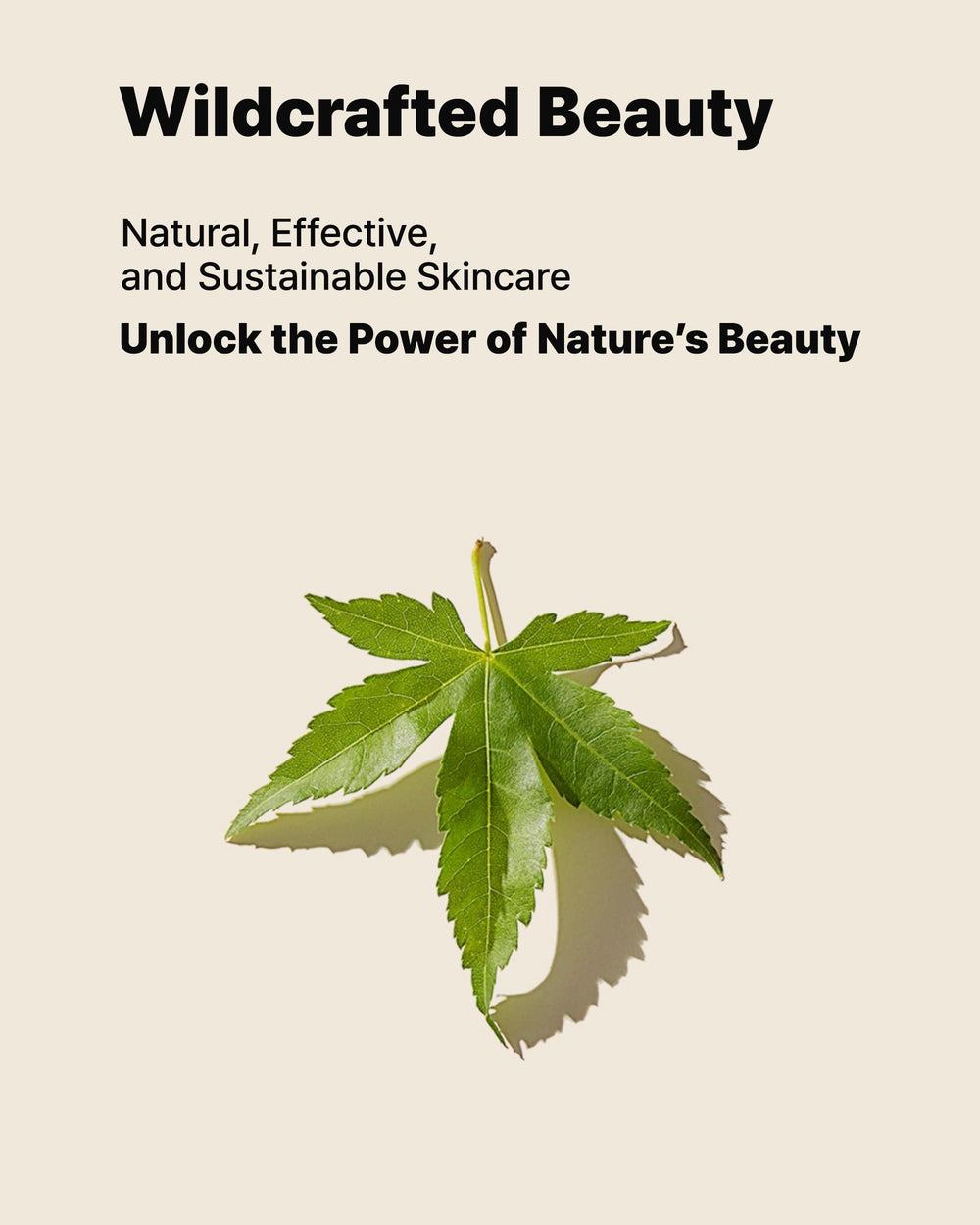 MAY COOP Moisture Essence Toner packaging showcases freshness and clear expiration labeling.