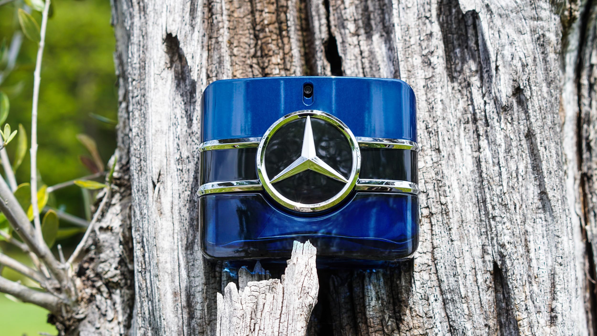 Mercedes-Benz Sign woody base notes image emphasizes patchouli and tonka bean warmth.