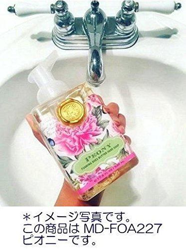 Michel Design Works Season's Greetings foam pump closeup—rich lather for gentle cleansing.