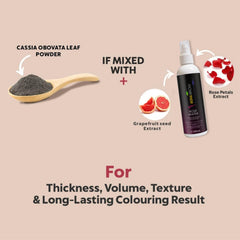 MinaiBrow Dark Brown Tint Kit application brush enables precise brow staining.
