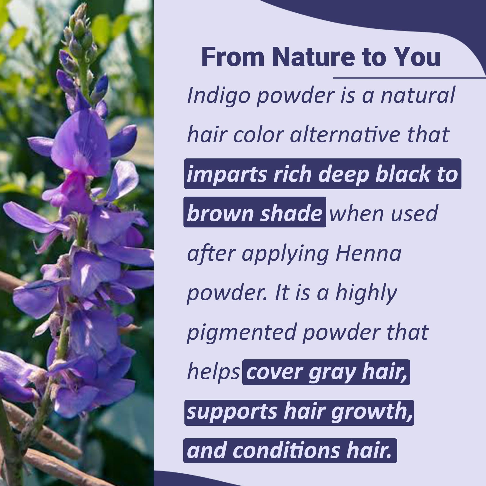 Mi Nature Indigo Leaf Powder close-up reveals fine texture for even application.