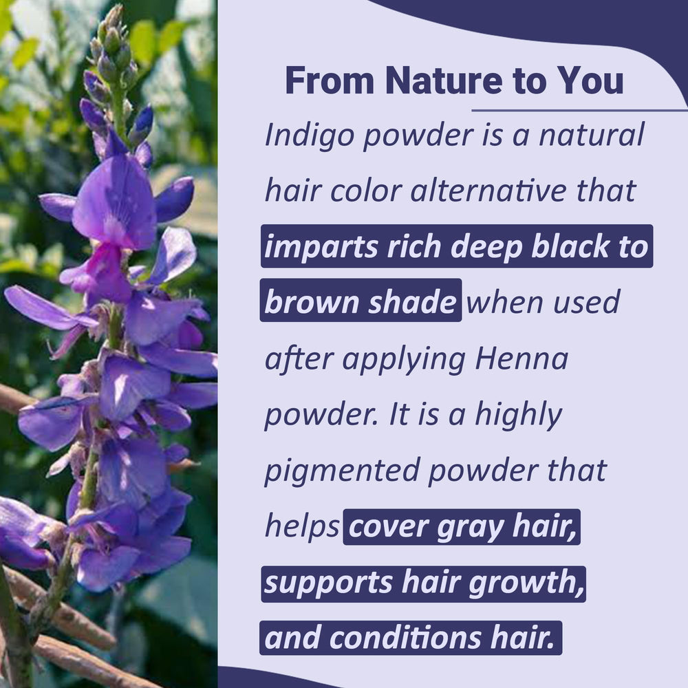 Mi Nature Indigo Leaf Powder close-up reveals fine texture for even application.