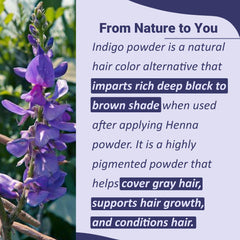 Mi Nature Indigo Leaf Powder close-up reveals fine texture for even application.