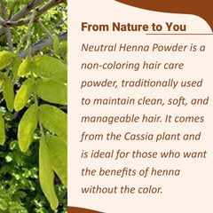 Minature Pure Neutral Henna Powder being poured illustrates colorless conditioning without tint.