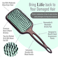 MINT detangling brush on wet hair for smoother, less-frizz styling.