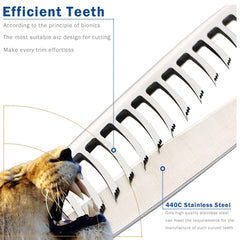 MISSUM blue-handled texturizing scissors ready for wet or dry hair cutting