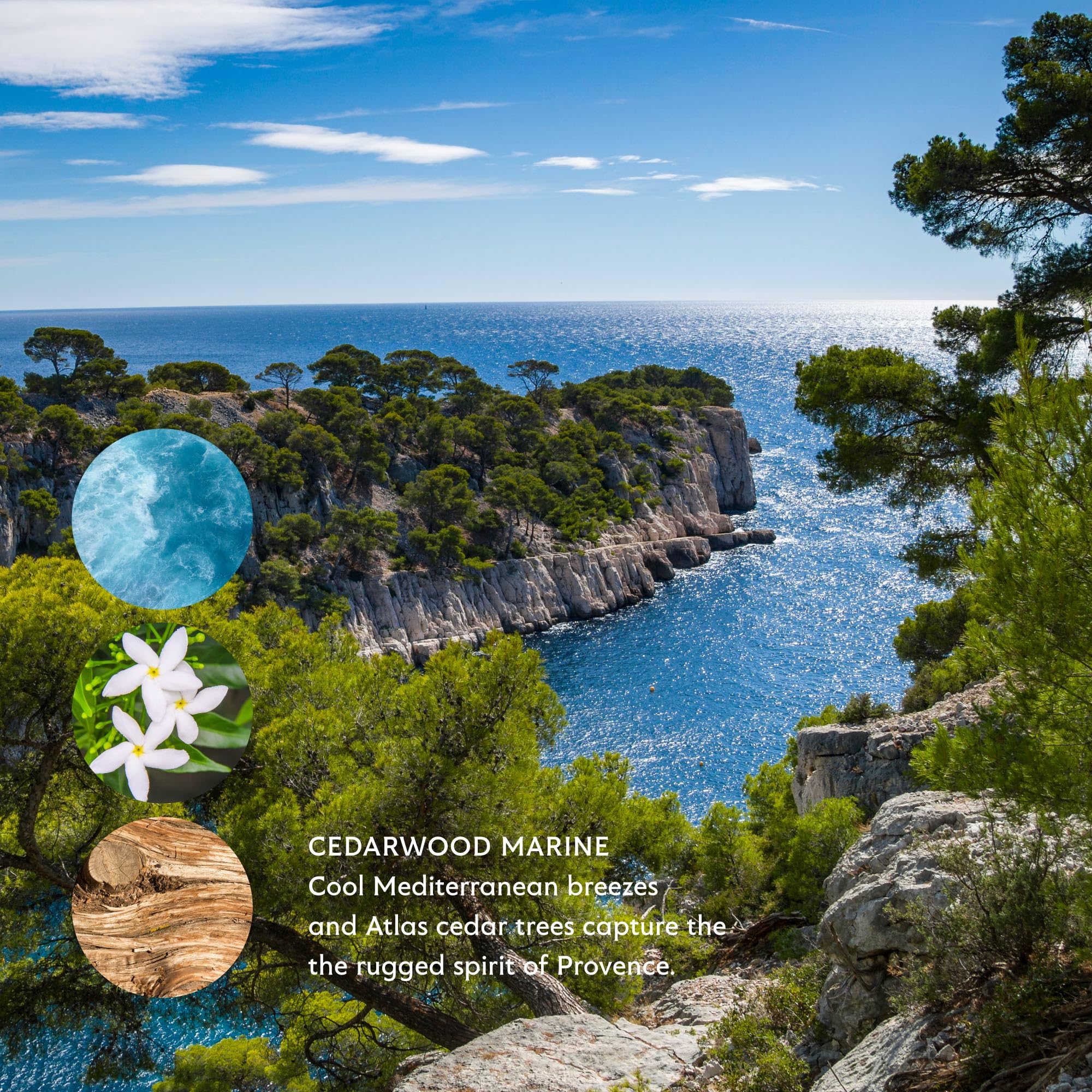 Mistral Cedarwood Marine bar soap packaging shows eco-friendly palm oil use and paraben-free formula.