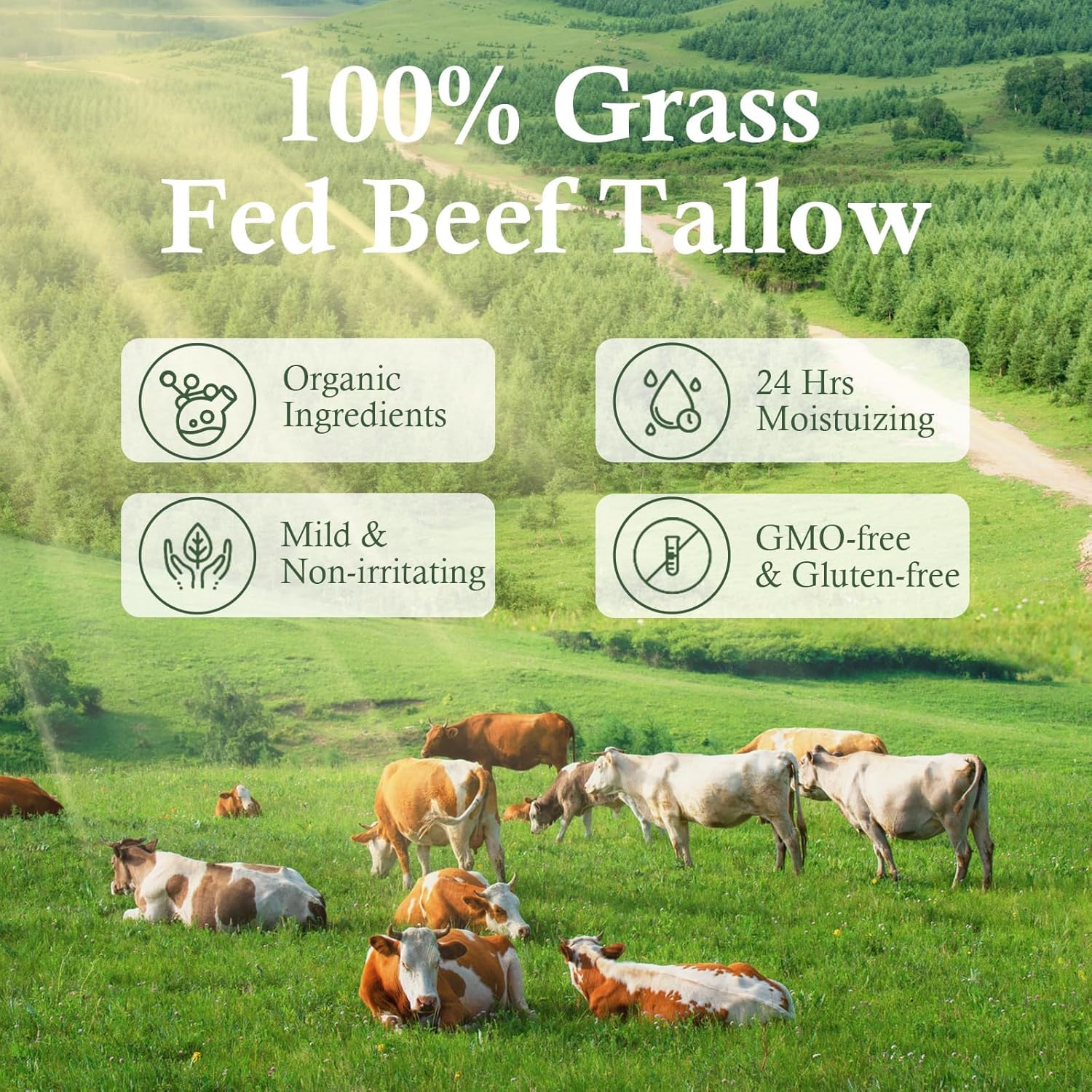 mkzea grass-fed beef tallow closeup highlights natural fatty acids for hydration