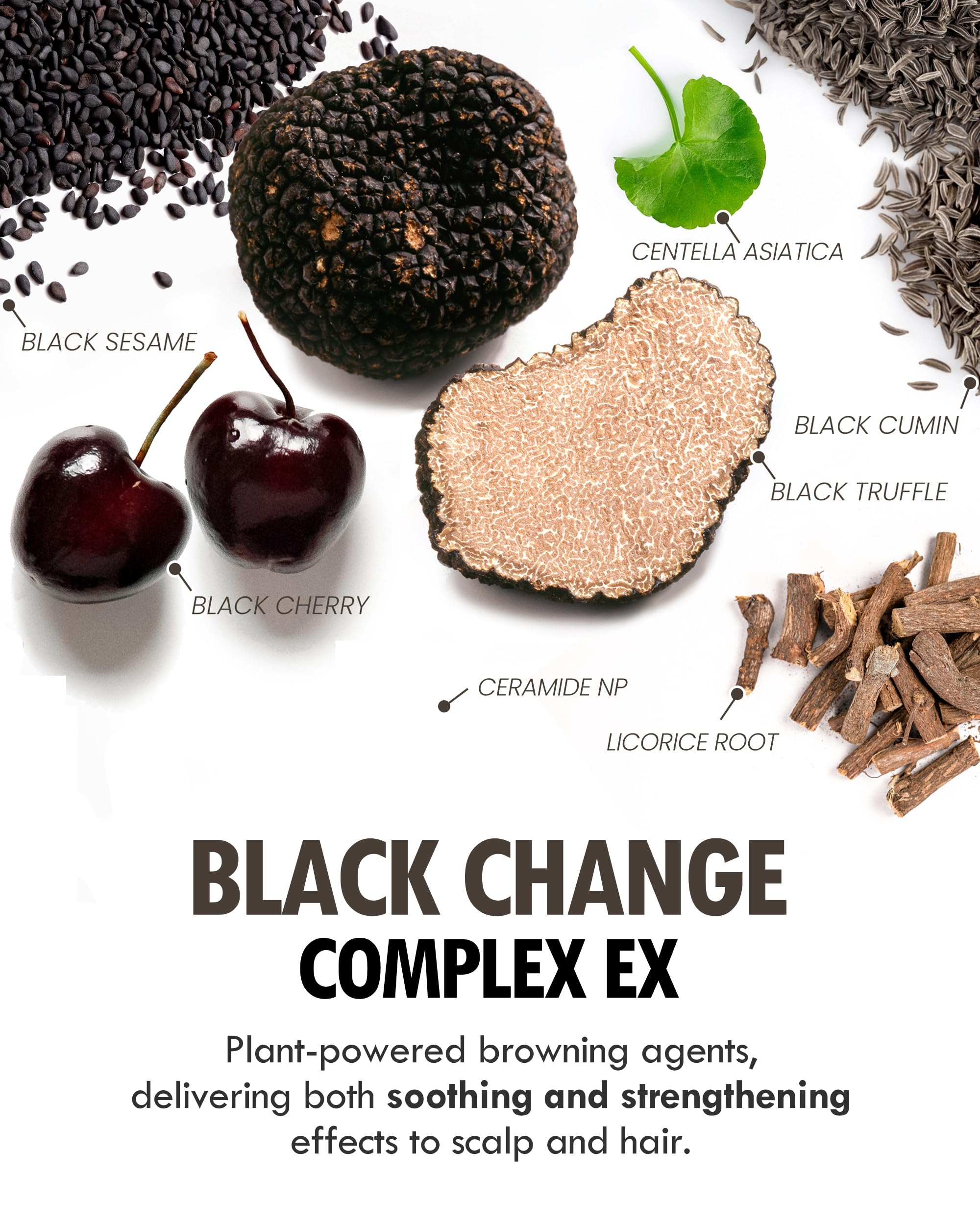 MODA MODA Zero Gray Black Shampoo lathering in hand demonstrates easy application.