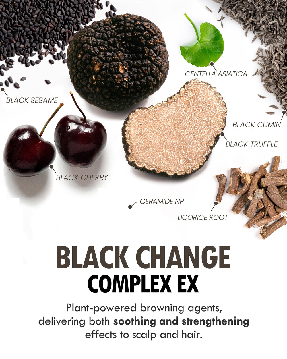 MODA MODA Zero Gray Black Shampoo lathering in hand demonstrates easy application.
