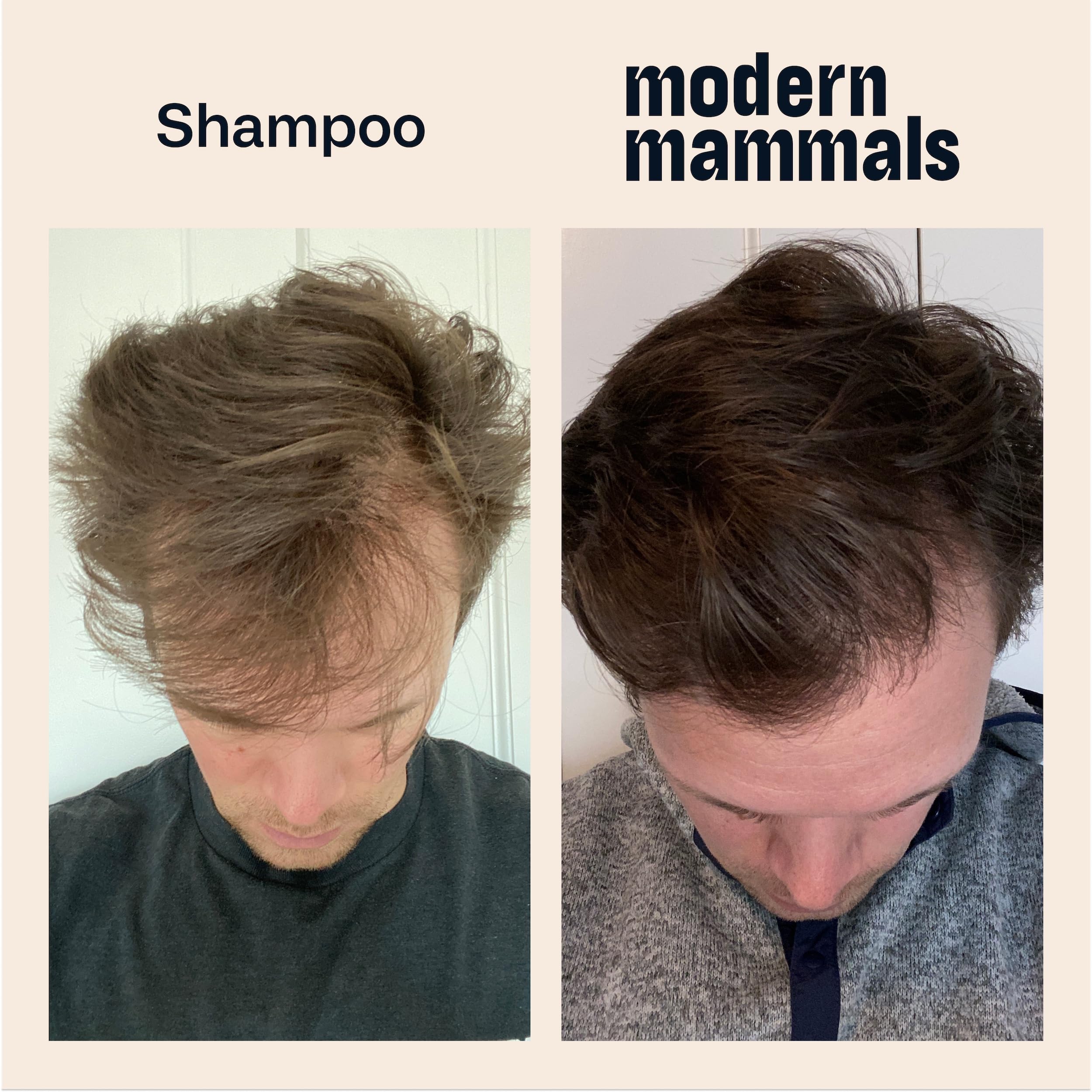 Modern Mammals Light Shampoo Bar travel-case image shows compact care on trips.