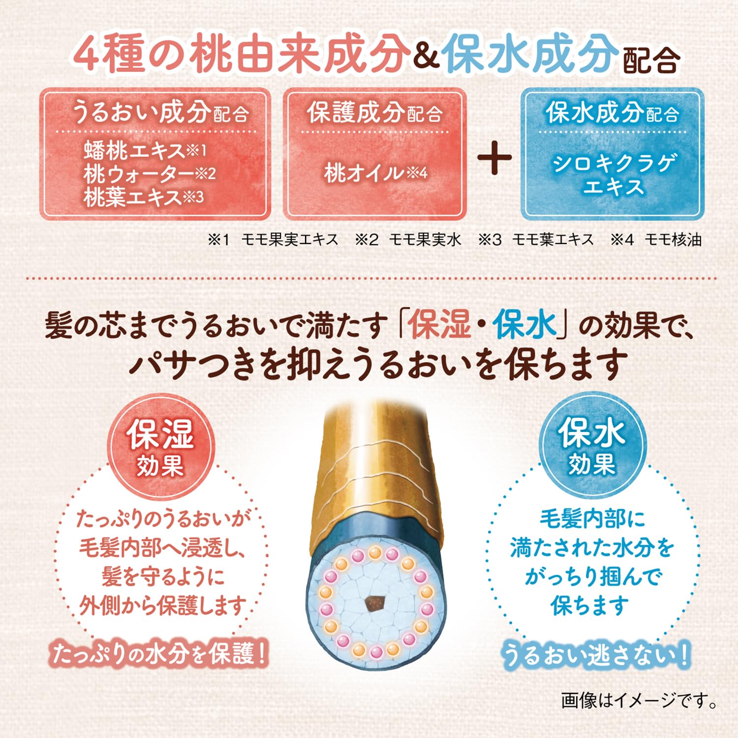 momori Thick Moist Hair Cream Dariya packaging shot highlighting compact 5.3 oz jar.