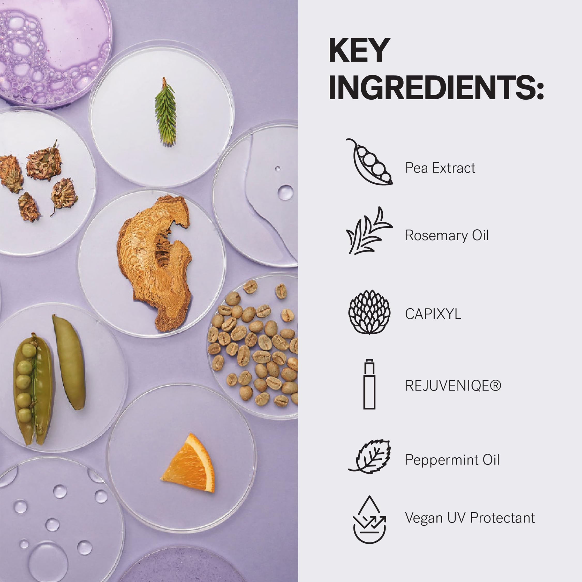 MONAT rosemary-mint ingredient close-up evokes a refreshing wash experience with energizing aroma.