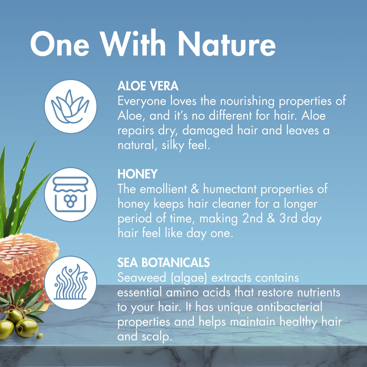 MopTop Daily Curly Hair Conditioner packaging shows aloe and olive oil for natural nourishment.