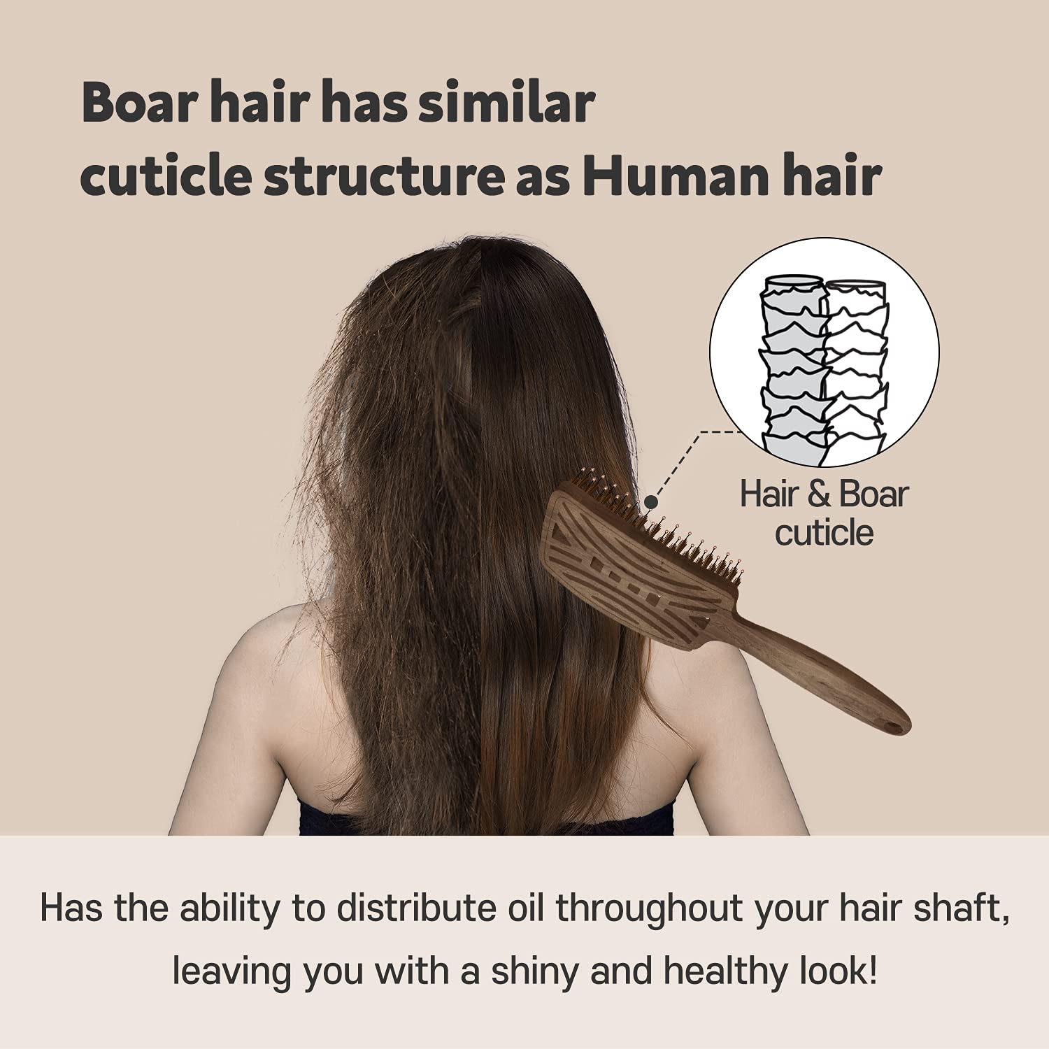 Mother's Corn Yao Boar Bristle Brush ideal for kids and adults with thick curly hair.