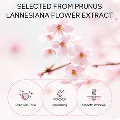 MrCuvaryas Sakura serum bottle close-up, hydration boost for daily glow.
