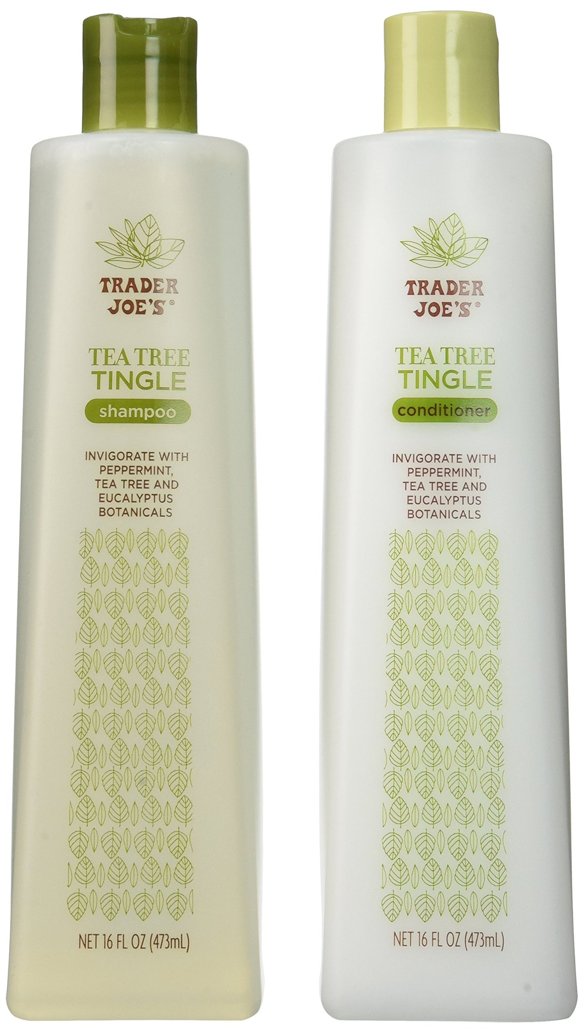 Mroobest Trader Joe's Tea Tree Tingle shampoo bottle highlights refreshing cleanse