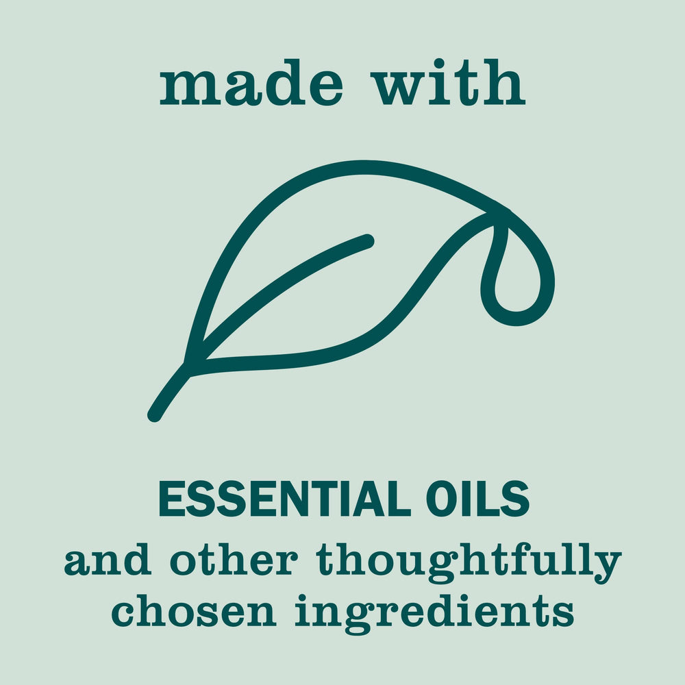 Mrs. Meyer's Birch Wood ingredients panel featuring aloe and flaxseed oil