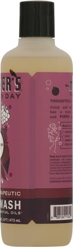 Mrs Meyers Clean Day Plumberry ingredients Aloe Vera deliver soothing base for shower time.