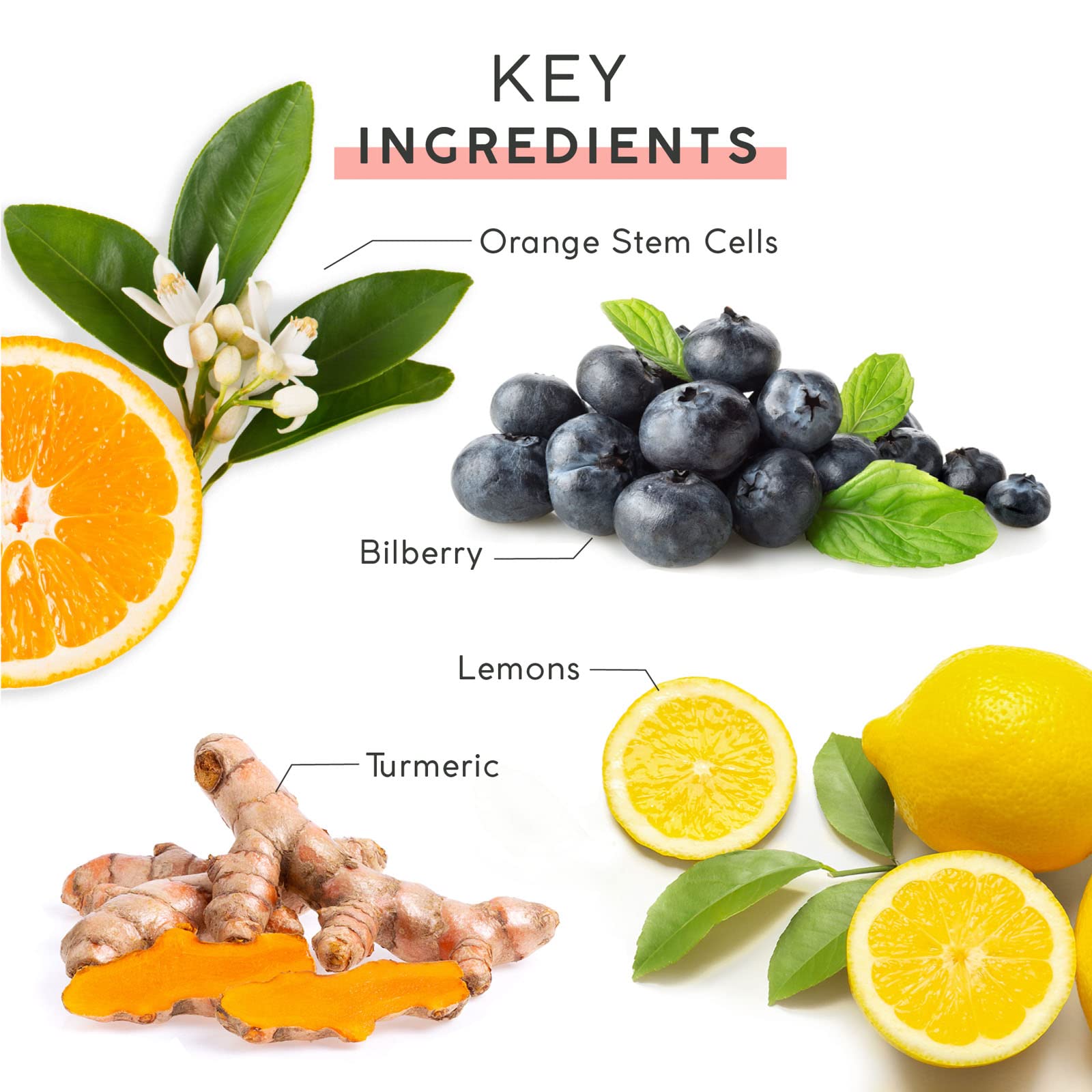 MyCHELLE Fruit Enzyme Cleanser ingredients close-up highlighting multi-fruit AHAs.
