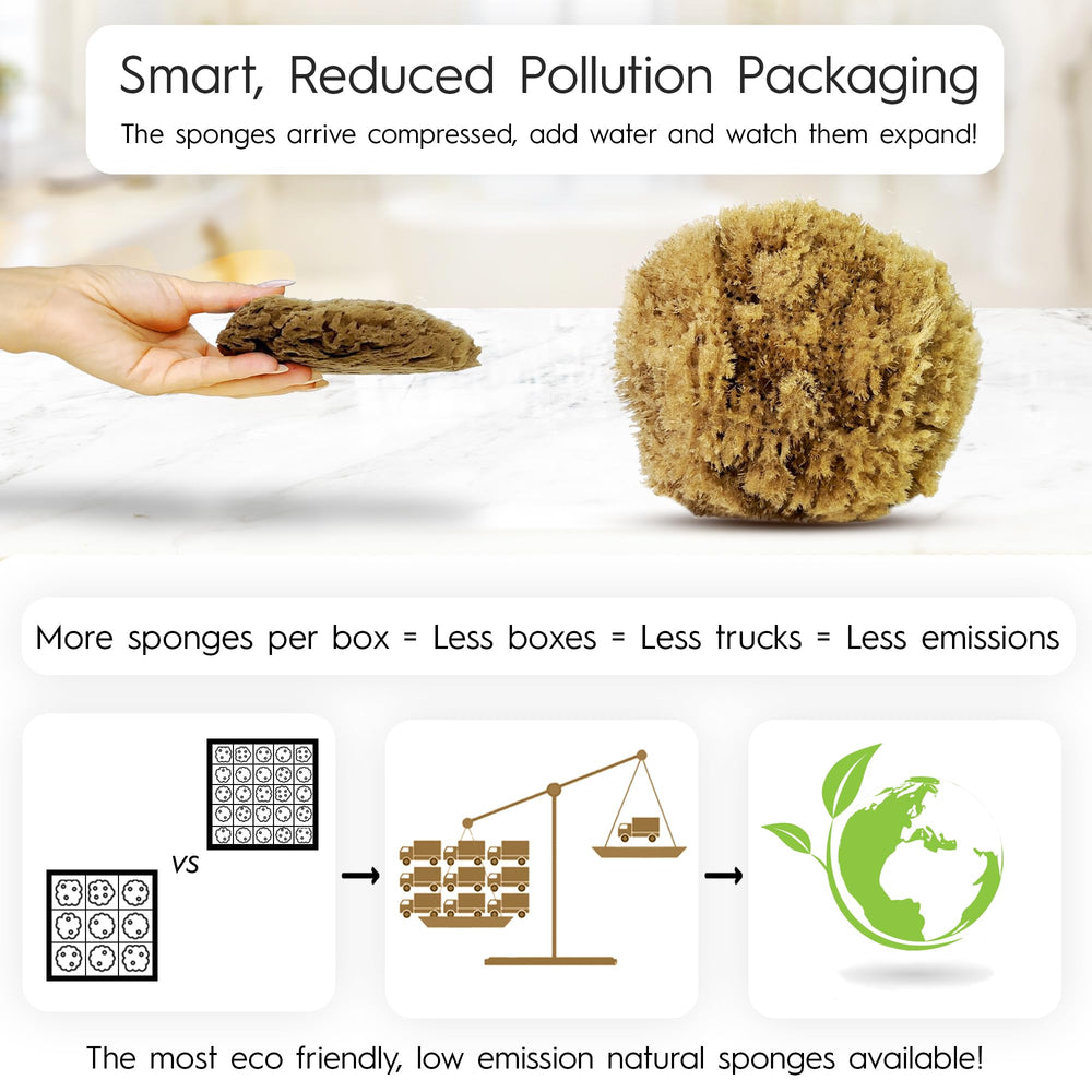 Naroa exfoliating sponge texture highlights natural fibers and exfoliation benefits