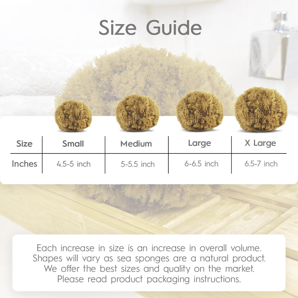 Naroa natural sponge held in hand for everyday skincare