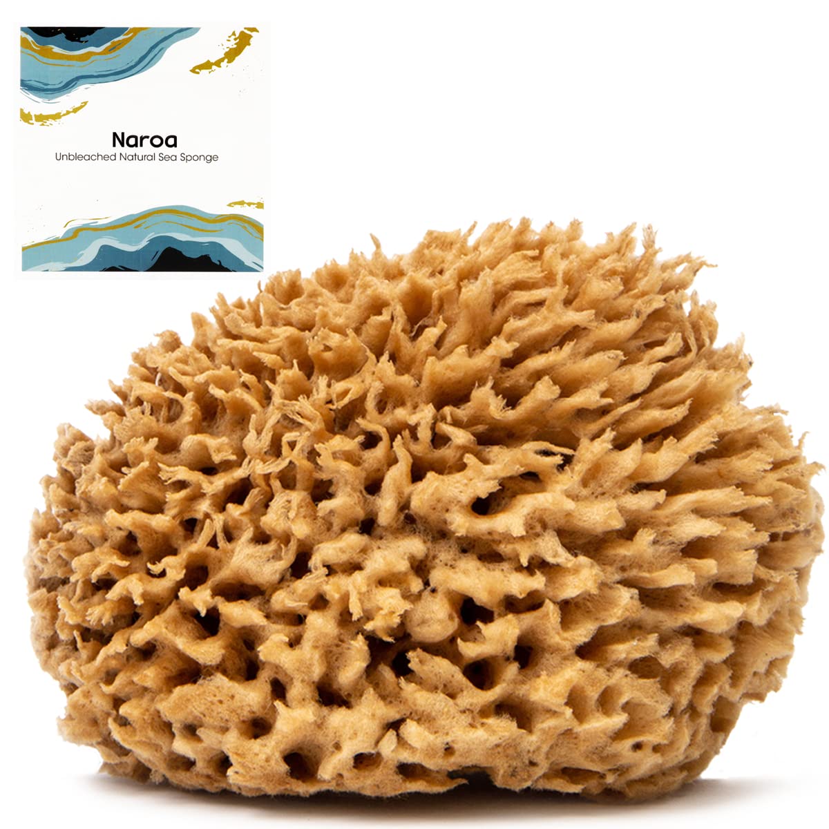 Naroa Soft Natural Sponge Large close-up showing gentle exfoliation for smooth skin