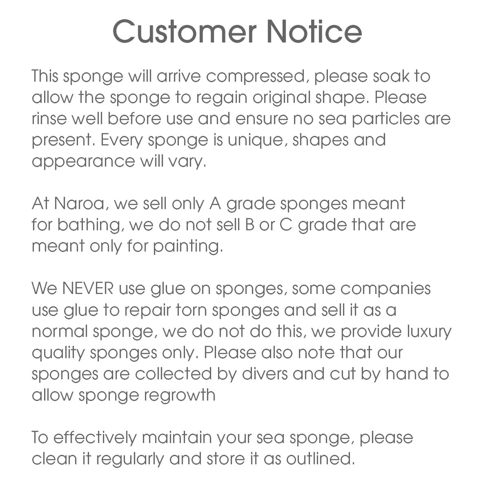 Naroa Soft Natural Sponge Large shower use creates spa-like moments