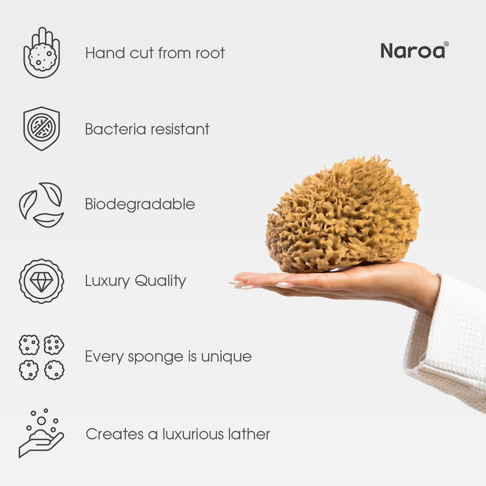 Naroa Soft Natural Sponge Large soft fibres produce luxurious lather