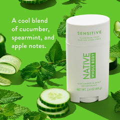 Native deodorant ingredients collage highlights coconut oil and shea butter for skin conditioning