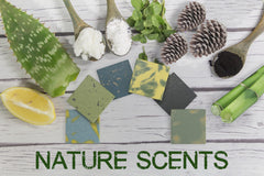 Natural American Elements citrus bamboo bar combines zing and natural aromatics for daily wash.