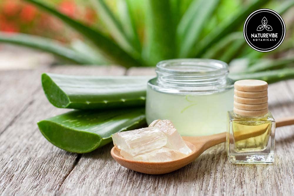 Naturevibe Botanicals Aloe Vera Oil jar closeup highlights 100% pure leaf oil