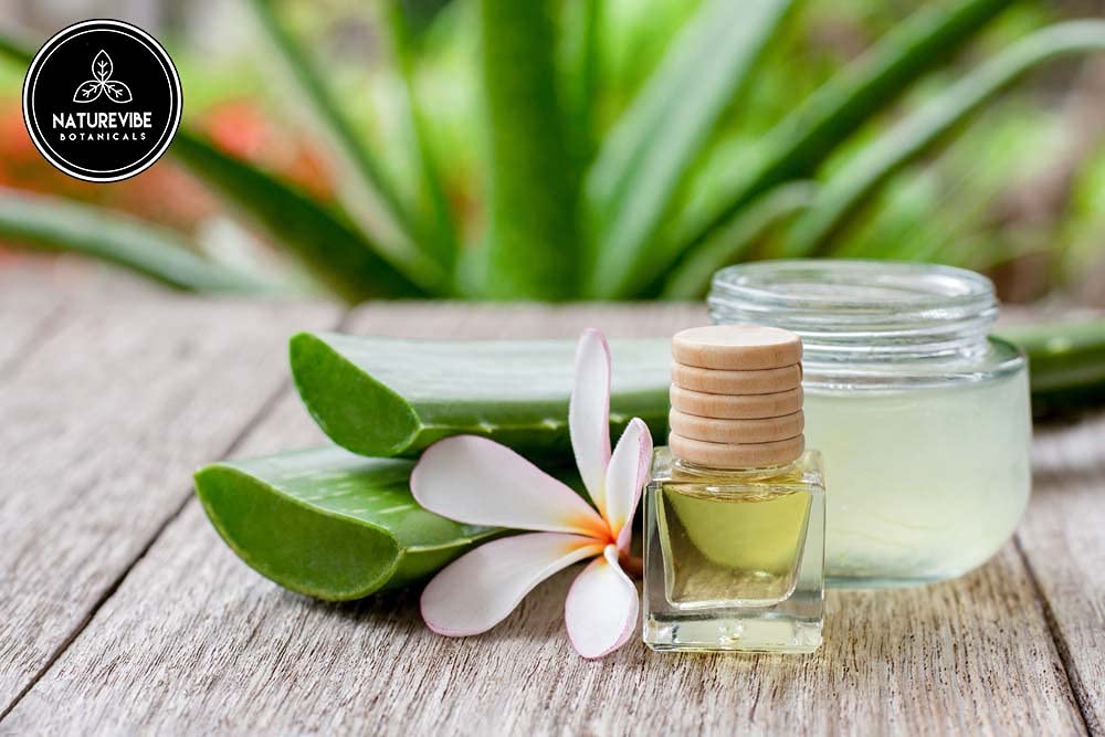 Naturevibe Botanicals Aloe Vera Oil packaging and resealable jar preserves freshness