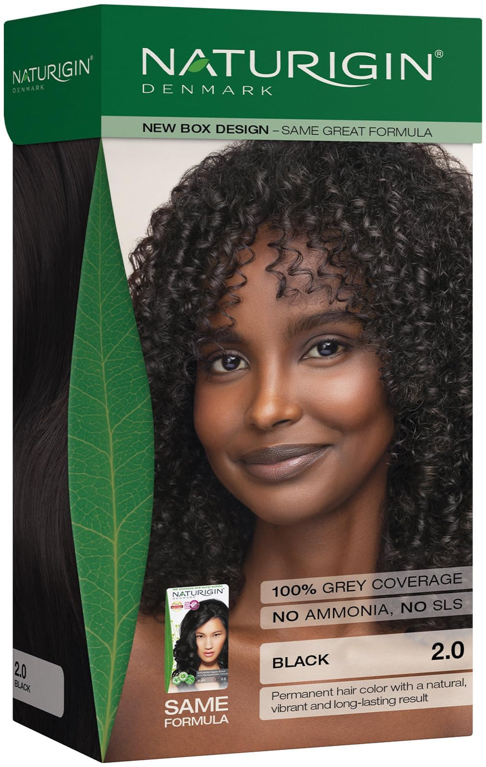 Naturigin Permanent Hair Color 2.0 Black pack — professional at-home color results.