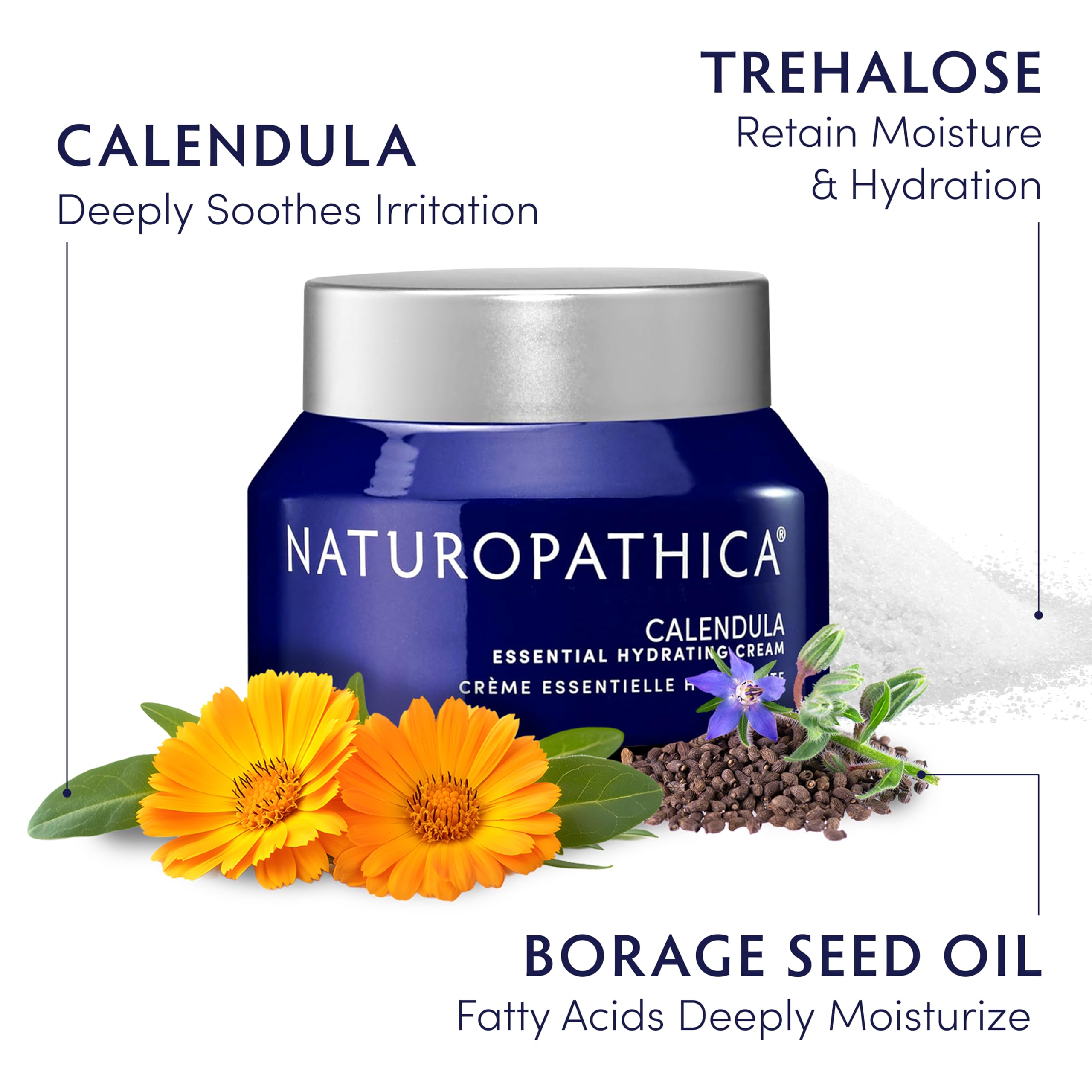 Naturopathica Calendula Essential Hydrating Cream ingredients with borage oil and trehalose support lasting hydration.