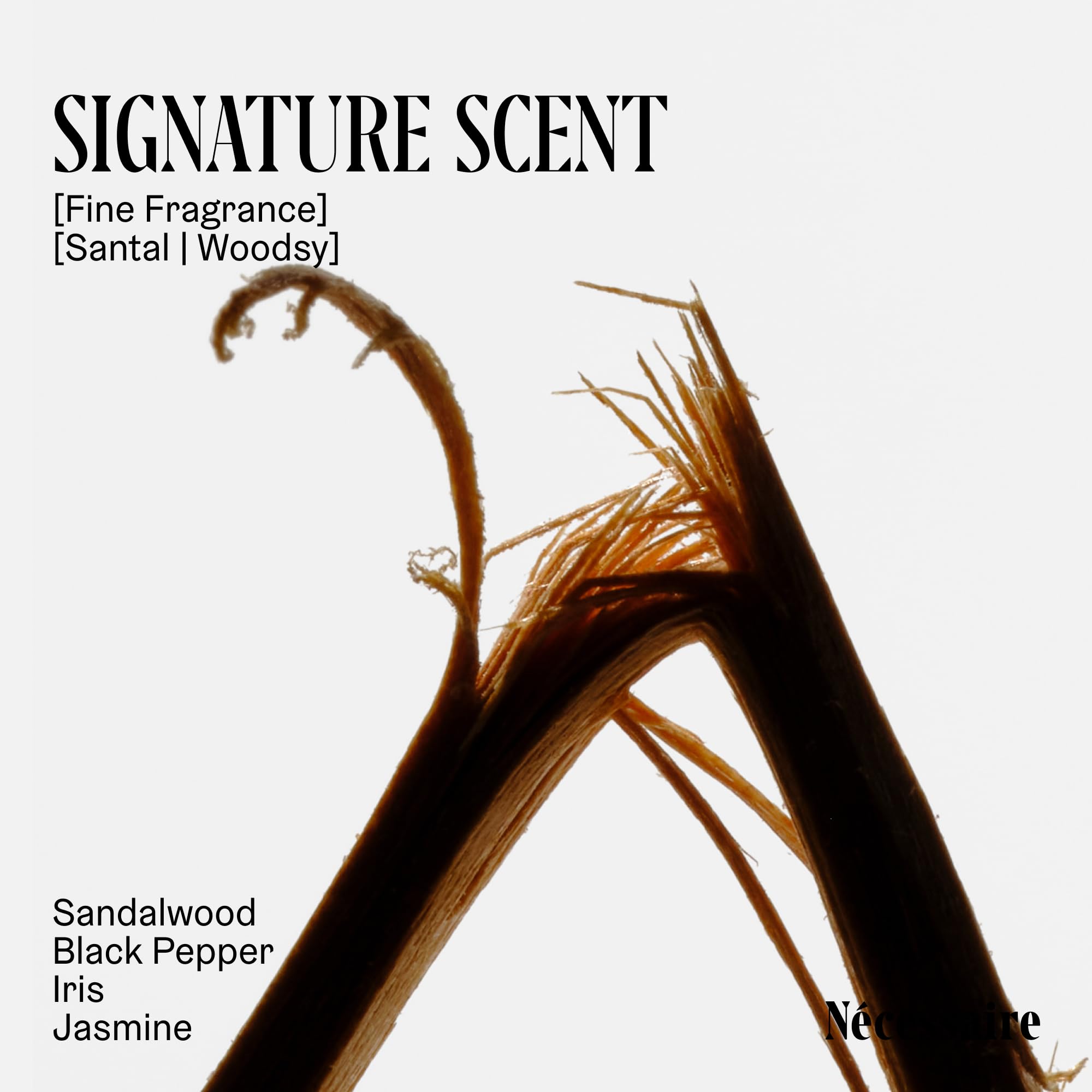 Nécessaire The Deodorant Santal ingredients panel with mandelic acid and zinc